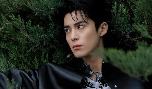 白鹿和王鹤棣最新爆料,揭秘幕后故事与精彩瞬间