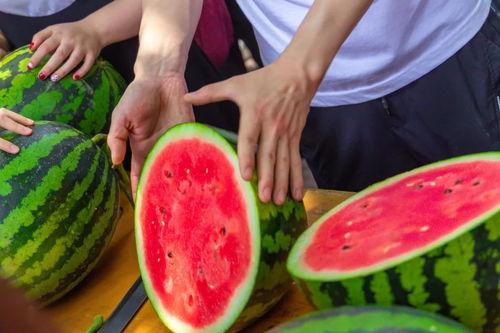 长清大学吃瓜免费播放,吃瓜免费,校园生活新潮流 第2张 长清大学吃瓜免费播放,吃瓜免费,校园生活新潮流 第2张